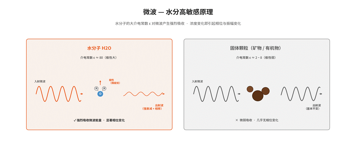 Microwave concentration/density meter