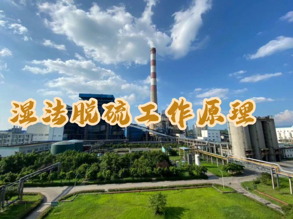 Video Introduction to the Working Principle of Wet Flue-Gas Desulfurization